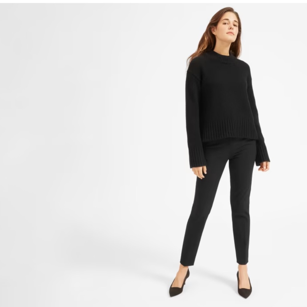 Everlane The Slim Wool Pant